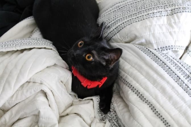 Фото: Андрій Михайлів