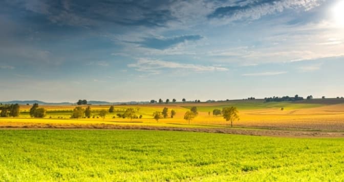 Скільки земельних ділянок на Львівщині конфіскували у громадян росії