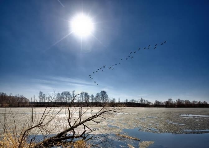 День ставатиме довшим. Сьогодні у світі відзначають весняне рівнодення