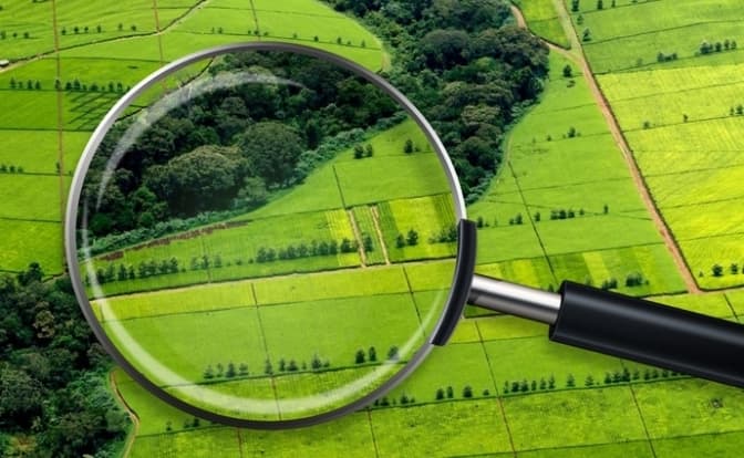 Фото умовне/Економічна правда