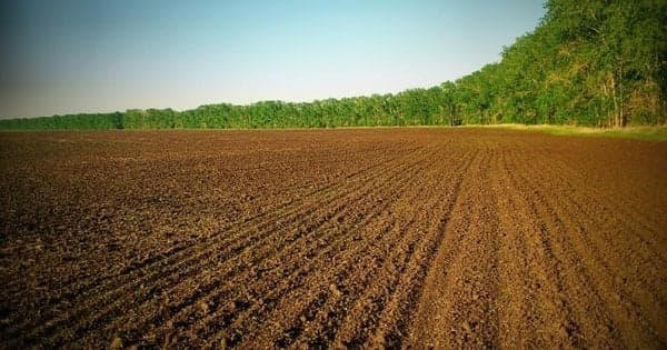 Майже 100 га землі повернули у власність громади на Львівщині