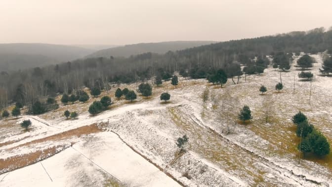 Тюбінг і оригінальні розписи столітньої давності Модеста Сосенка. Подорож Львівщиною на один день
