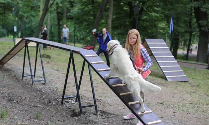 Восени у Львові облаштують ще 30 прогулянкових маршрутів для собак. Адреси