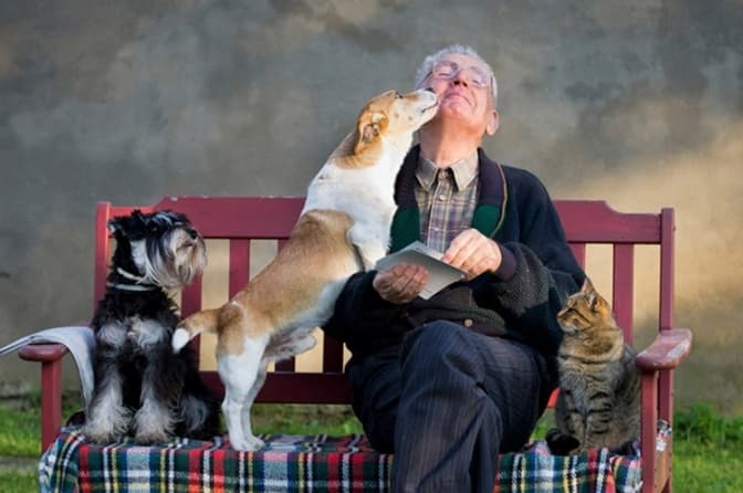 Фото: zib.com.ua