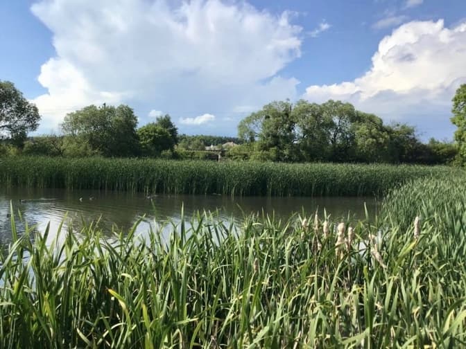 У Рясному облаштують новий парк