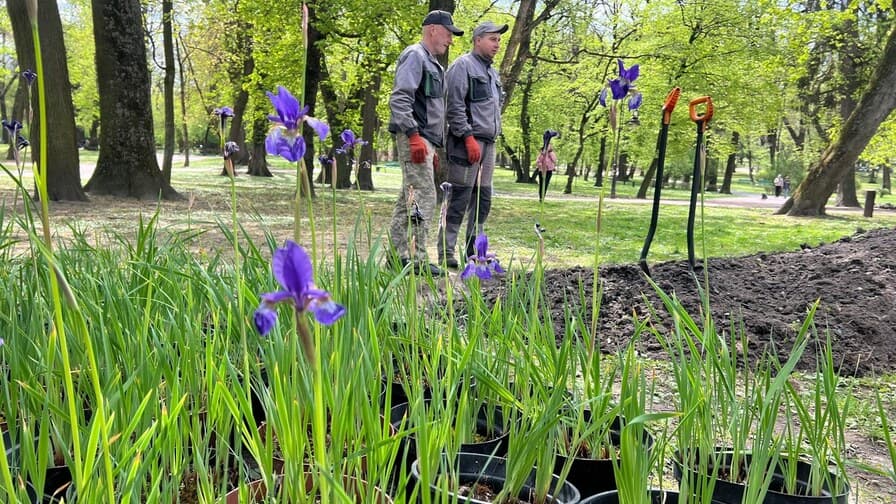 У Львові з’явився четвертий дощовий садок: нову локацію облаштували в парку Франка