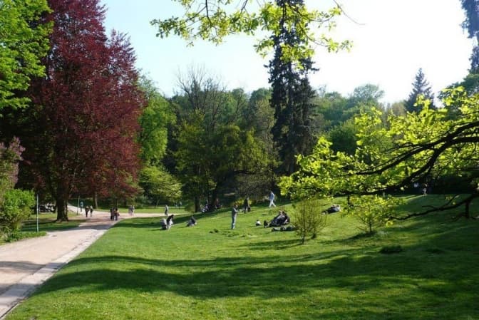 У Стрийському парку облаштують масштабну клумбу з регіонами України. Візуалізація