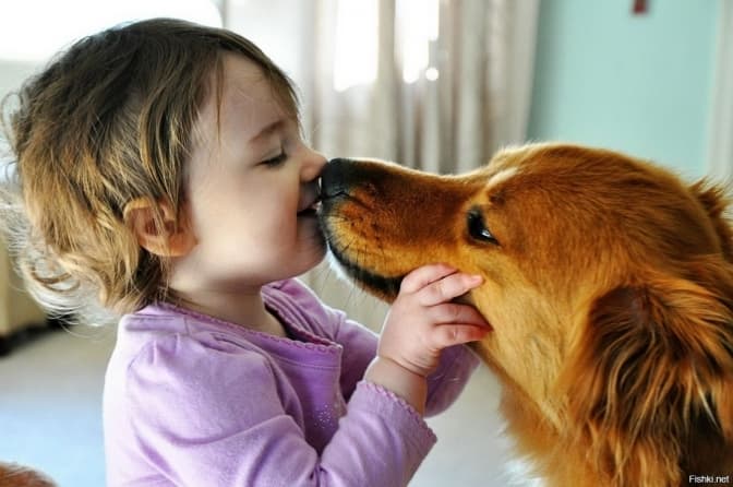 На Львівщині зафіксували два випадки складного паразитарного захворювання. Як розпізнати