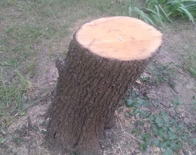 Фото: Любов Андрієвич