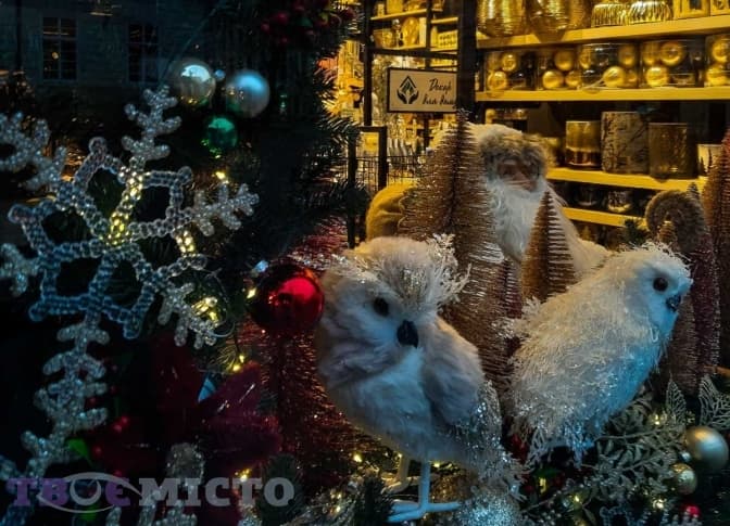 фото: аліна петренко