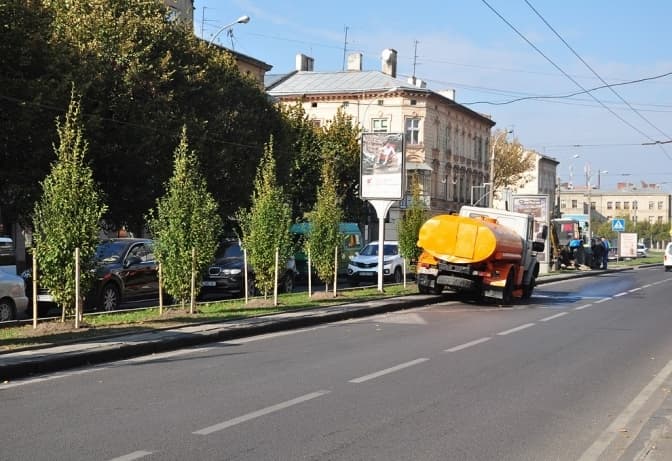 Львівська міськрада програла справу щодо ділянки з квітковими павільйонами у центрі міста