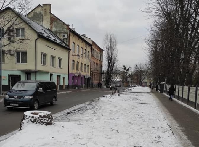 На вулиці Хімічній у Львові зрізали всі старі тополі. Чи висадять натомість нові дерева