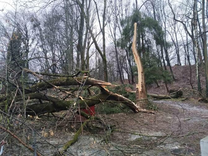 фото пресслужби парку культури і відпочинку імені богдана хмельницького