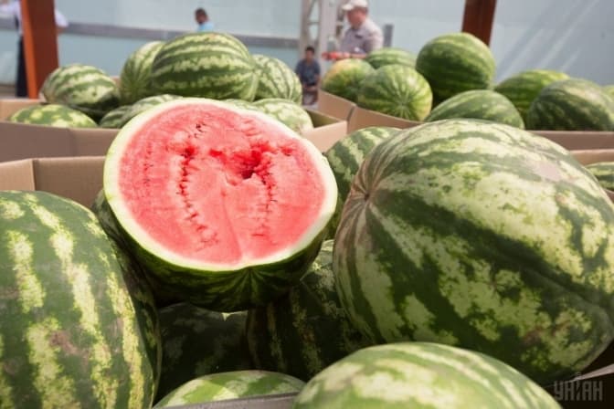 Де у Львові цього літа легально купити кавуни. Перелік адрес