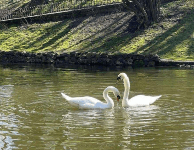 Фото: Львів. Містобудування