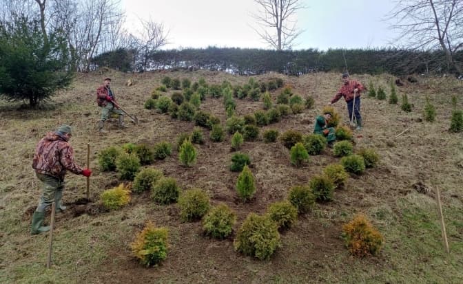 На Львівщині висадили «живу» вишиванку. Фото