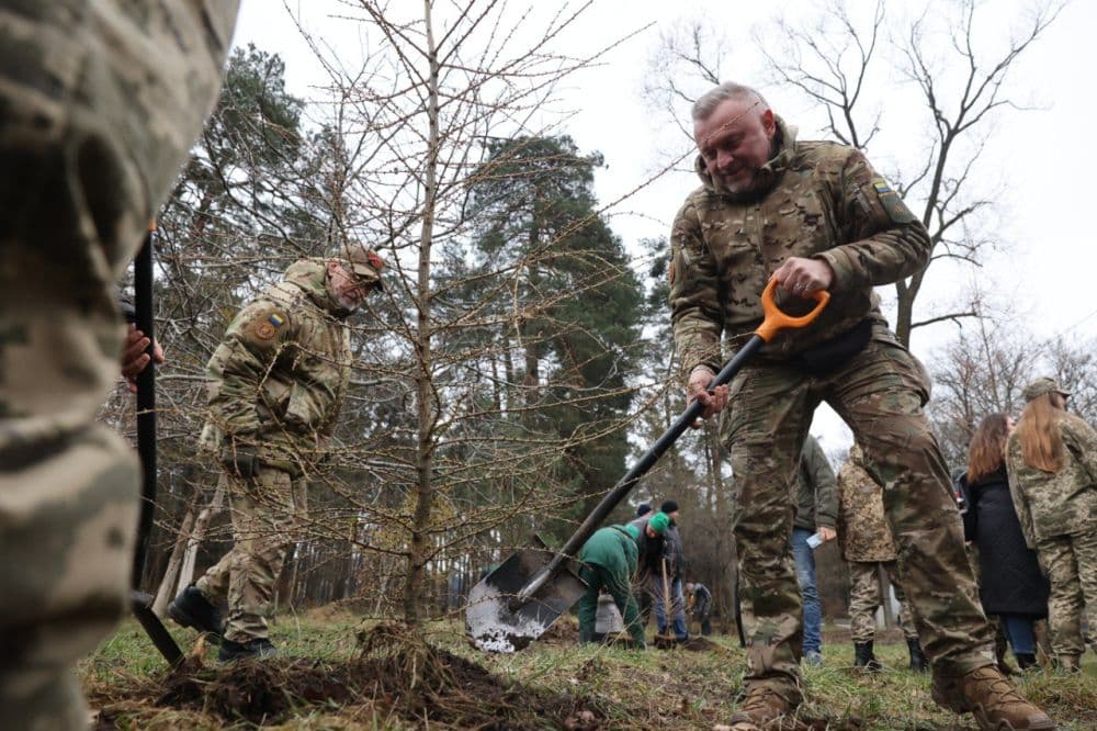 У Львівській громаді облаштують три нових сквери. Локації
