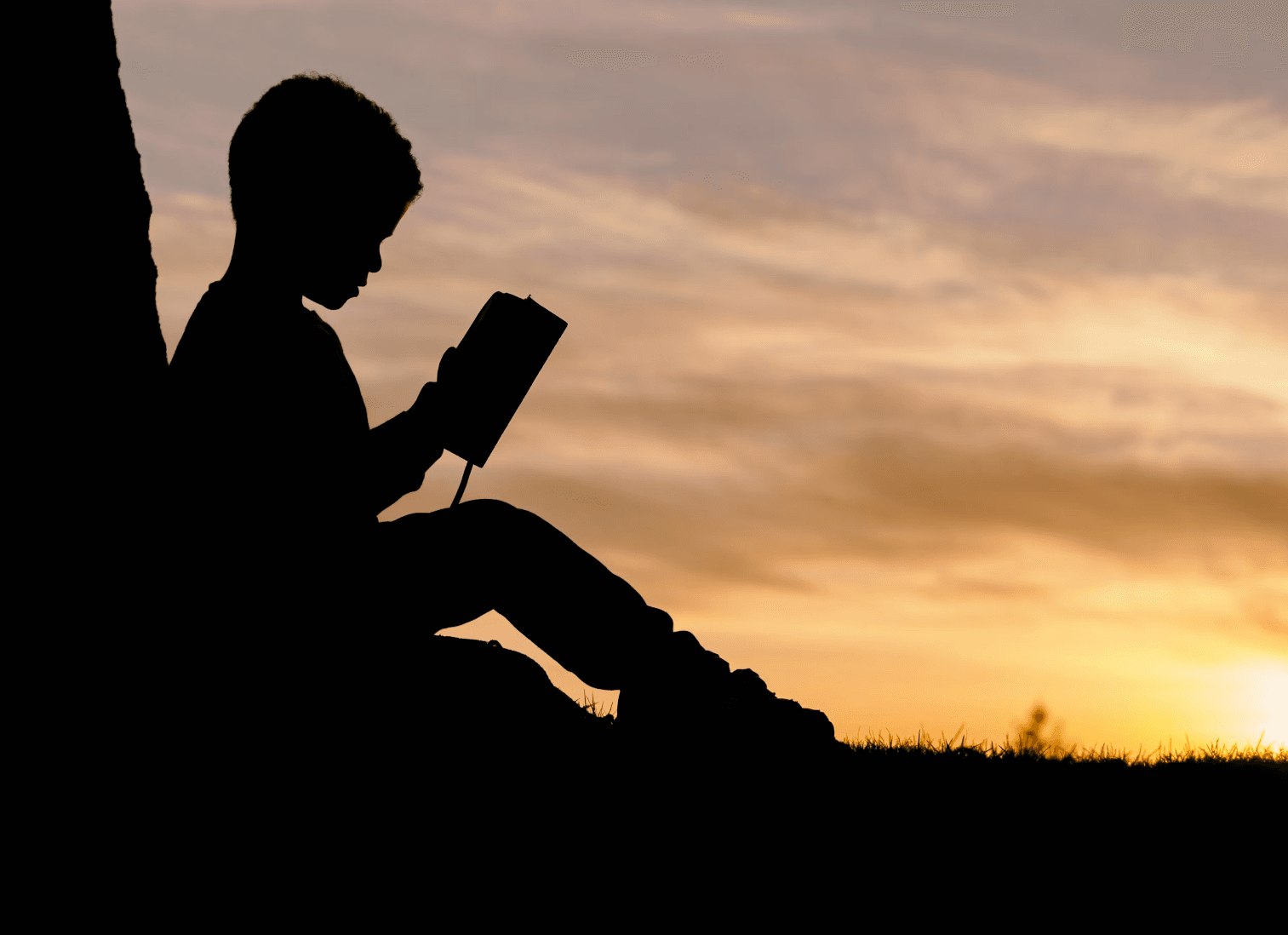 Фото умовне / Unsplash