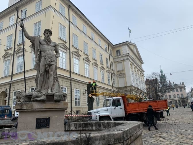 На площі Ринок зрізали каштан, який посадили ще у міжвоєнний період. Фотофакт