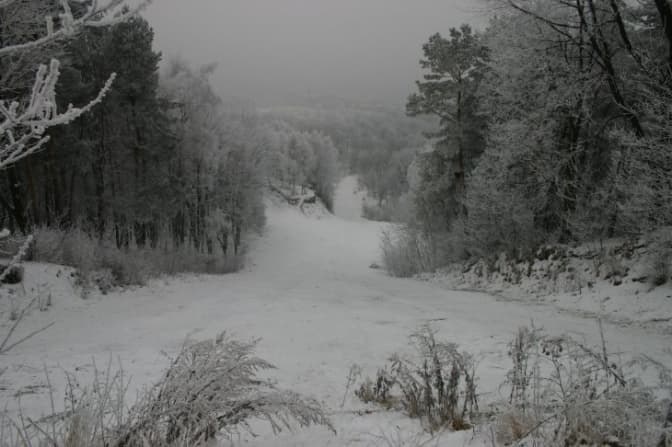 фото: lviv.vgorode.ua