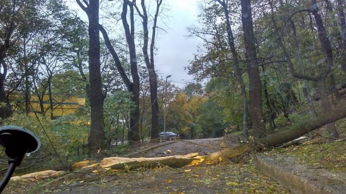 Чи повториться у Львові буря. Прогнози синоптиків