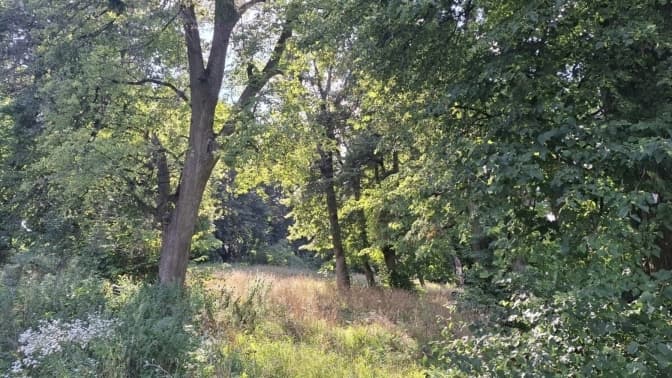 У Львові з’явиться новий парк