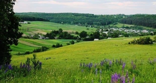 Від початку року на Львівщині створили 6 природоохоронних територій