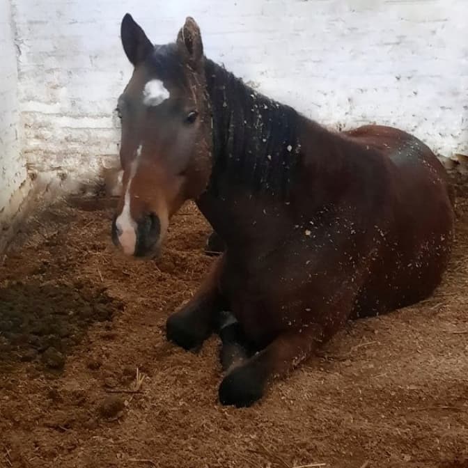 Фото: Галина Кондратенко