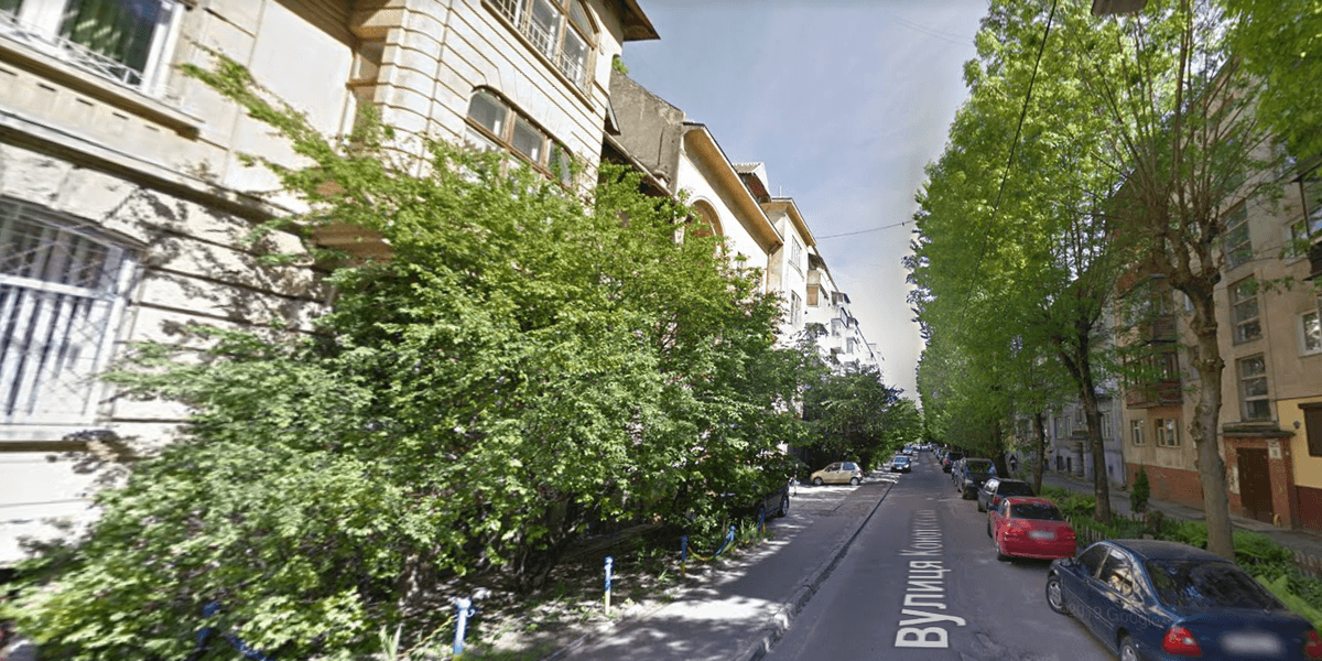 Львів’яни пишуть, що у Франківському районі зрізали здорові дерева