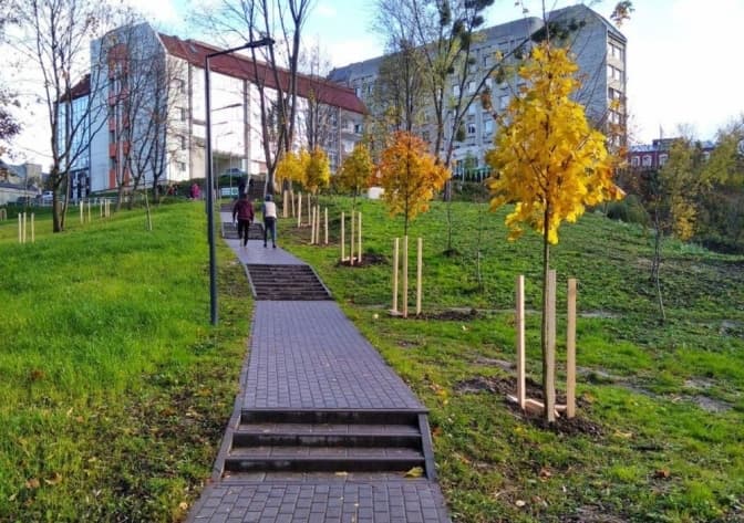 Понад 70 дерев висадили біля дитячої лікарні на Орлика у Львові