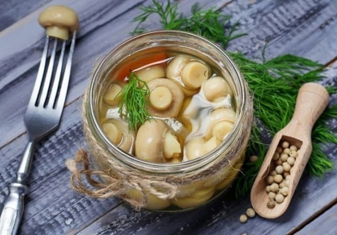 Фото: з відкритих джерел