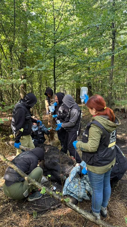 фото: орест залипський