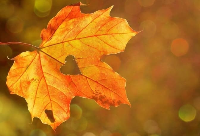 Вітряно, але без опадів і до +20. Якою буде погода у Львові у вихідні