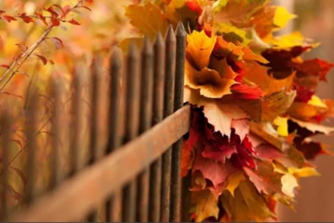 Якою погодою розпочнеться тиждень на Львівщині. Прогноз