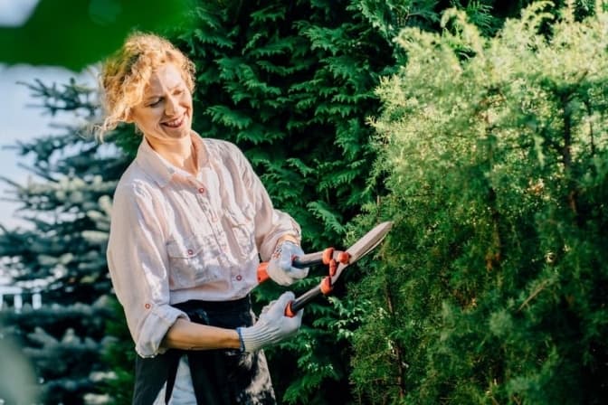 У Львові обрали садівників для кожного району. Що вони робитимуть