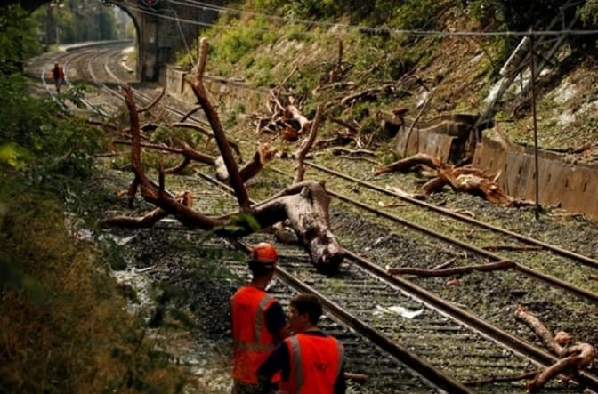 На приміський потяг на Львівщині через негоду впало дерево. Є постраждалі