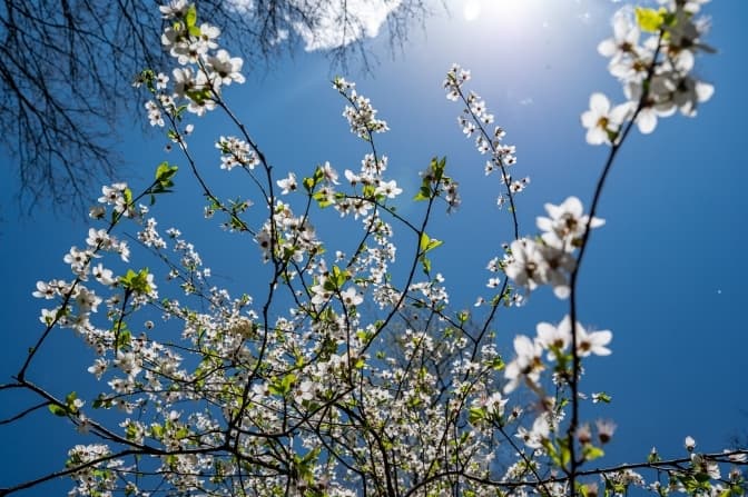 До +22°. Якою буде погода сьогодні у Львові