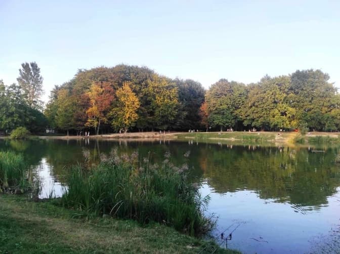 У «Горіховому Гаю» у Львові облаштують майданчик для вигулу собак