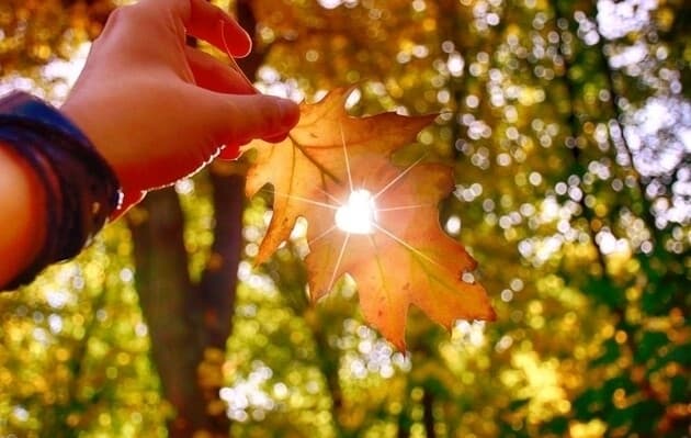 Якою буде погода у Львові завтра: прогноз синоптиків