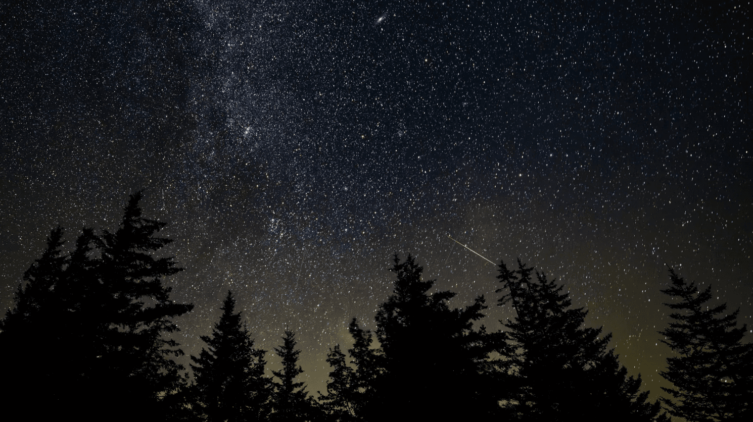 Персеїди у серпні 2025 (NASA/Білл Інґаллс)
