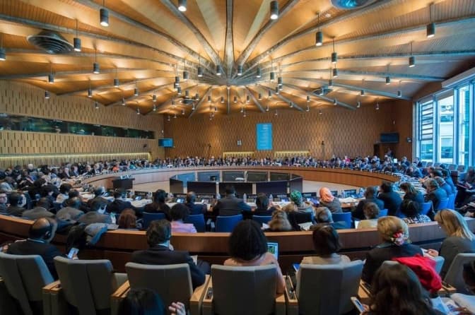 Фото: ЮНЕСКО