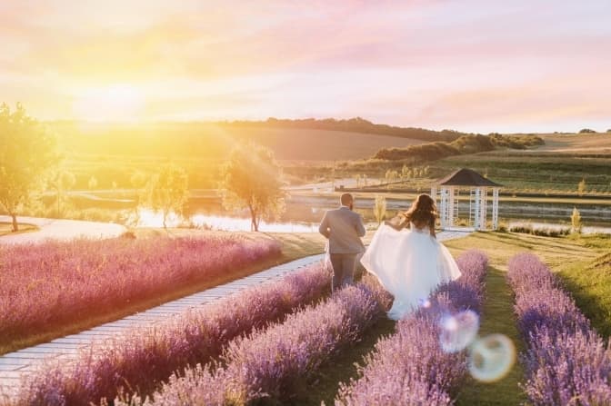 Лавандові поля на Львівщині. Локації для фото