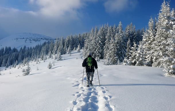 Фото: kor.ill.in.ua