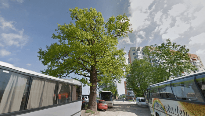 фото: гугл-карти