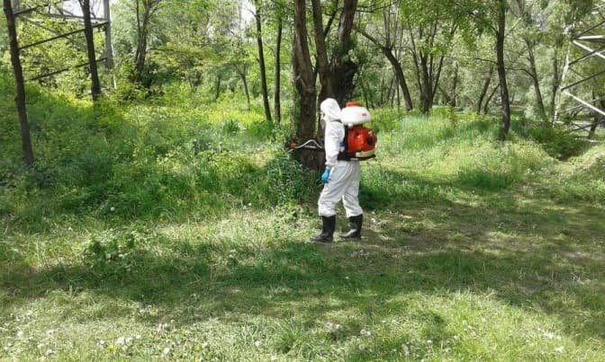 Львів’ян просять не відвідувати 6 парків через обробку від кліщів. Перелік