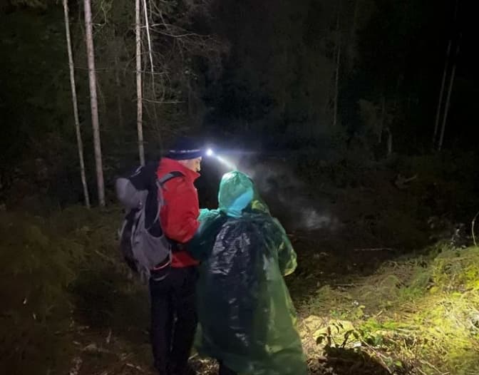 Пенсіонерка із Закарпаття заблукала під час збирання грибів на Львівщині