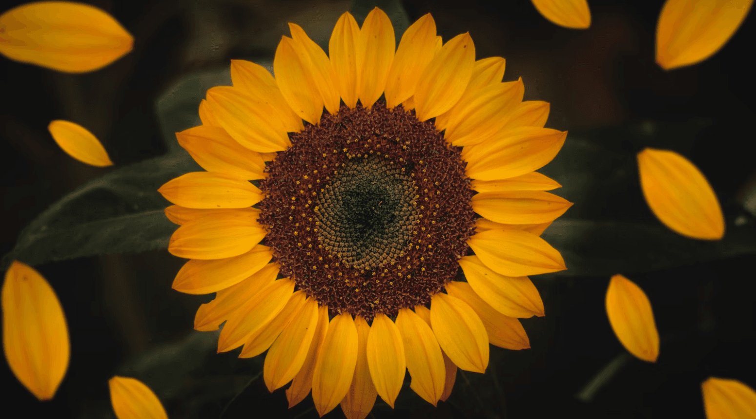 Ілюстративне фото / Unsplash