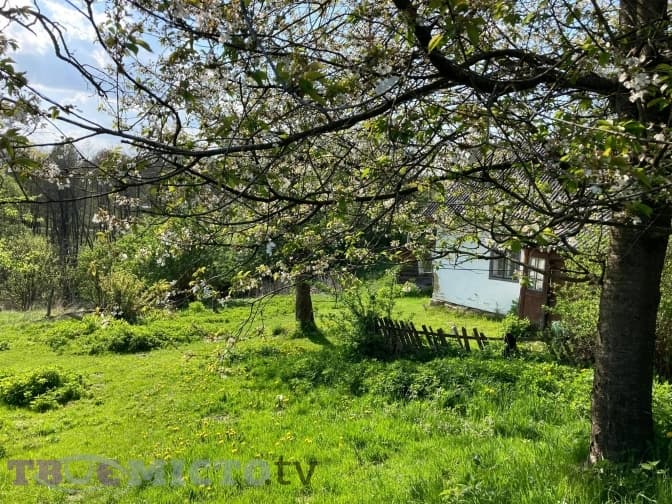 Ваша земля – уже не ваша. Або що робити, щоб не втратити батьківську хату