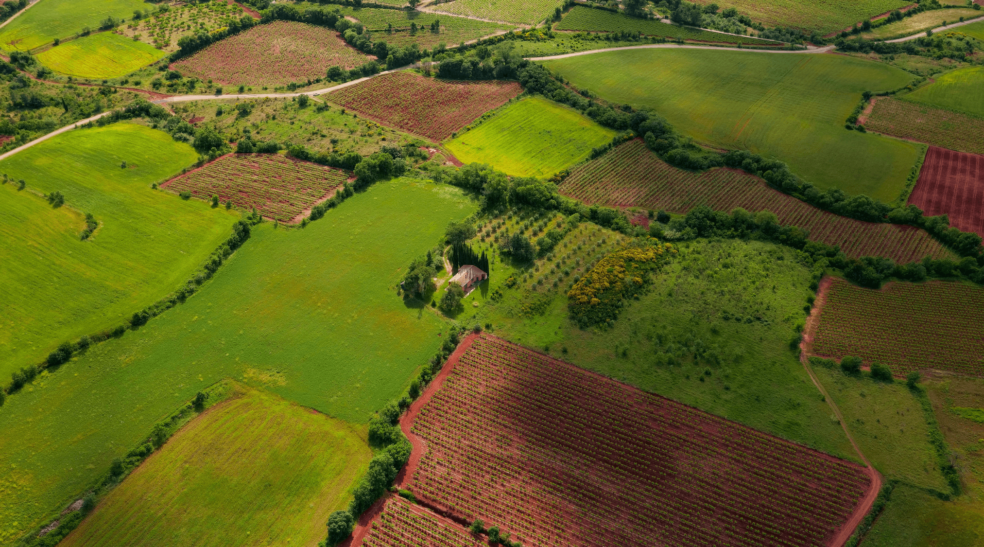 Фото умовне / Unsplash