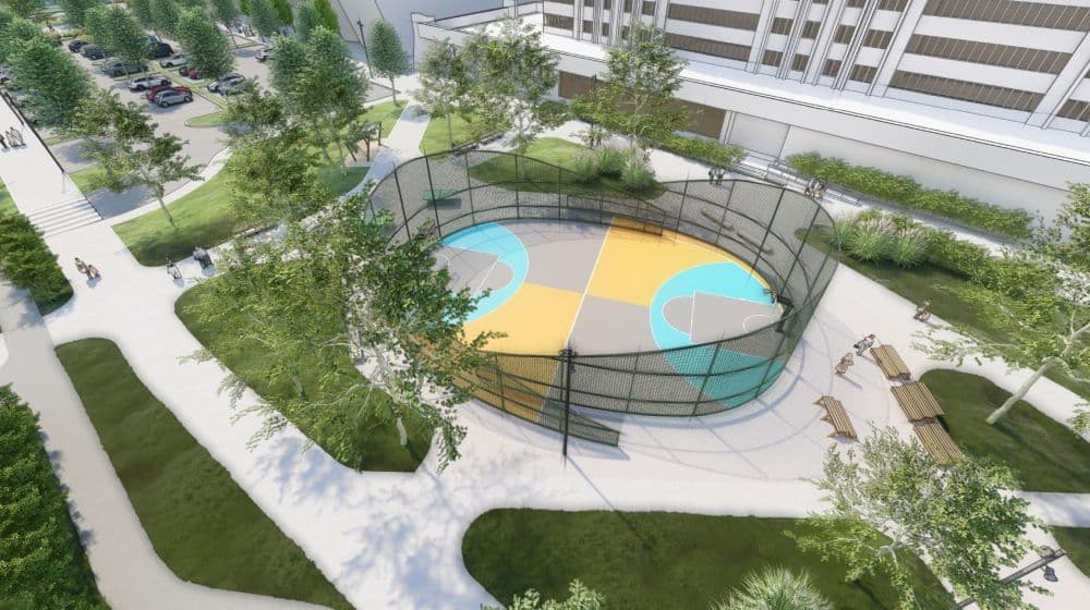 Візуалізація, оприлюднена на сайті ЛМР